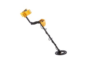 TREASURE ACE 150 for Rent
