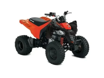 001939 2026 Can Am DS 2x4 250 4st