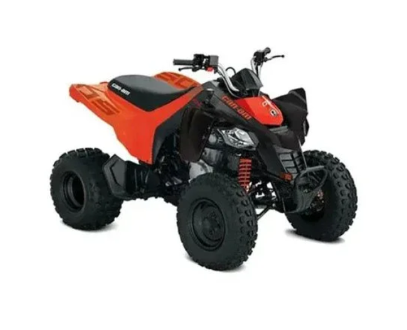 001939 2026 Can Am DS 2x4 250 4st